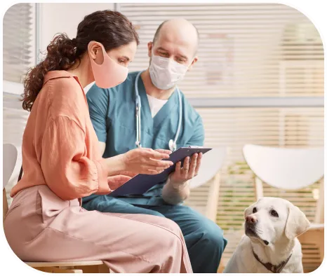 Photo of a vet with a client and a dog at the clinic