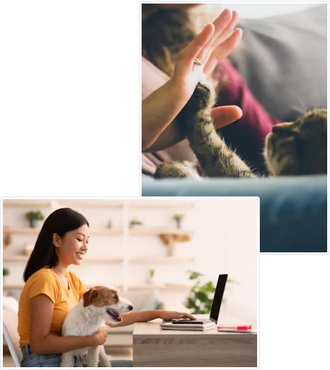 Mission photos of a high-fiving cat and a lady smiling with her dog